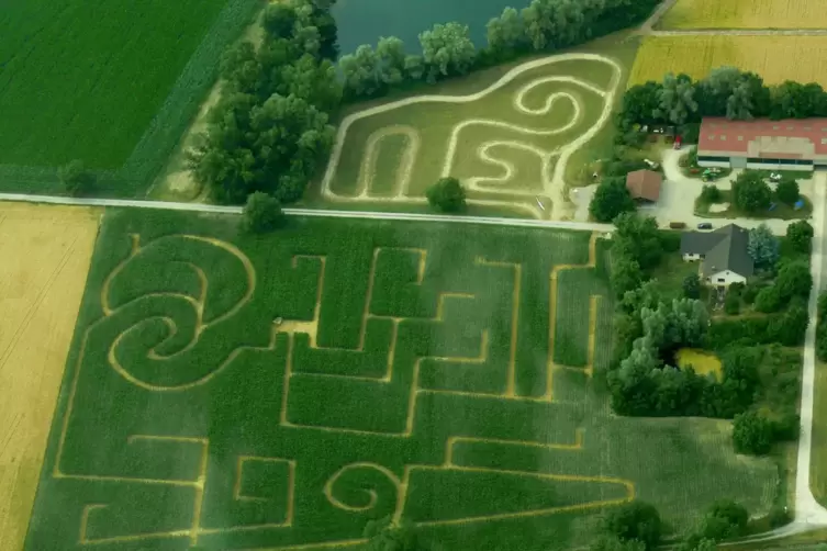 Eines von mehr als 250 Ausflugszielen, die in unserer interaktiven Karte zu finden sind: Das Maislabyrinth in Leimersheim (Kreis