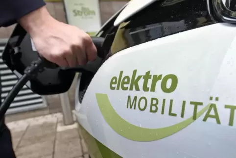 Zehn bis 15 Fahrzeuge könnten in Frankenthal zum Start bereitstehen. Hier ein Bild aus der Flotte der Energie- und Wasserversorg