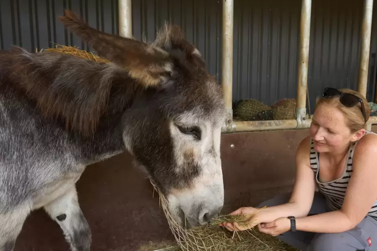 Die Biologin Nina Kniel kümmert sich um einen Esel, der in einem gemeinnützig betriebenen Teich- und Tiergehege in Sinzig (Kreis