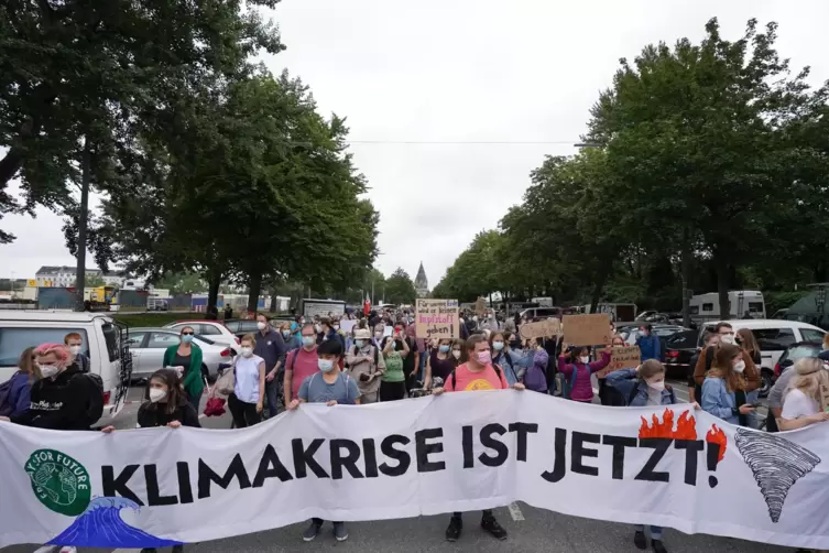 Die Demonstranten forderten, wie hier in Hamburg, verstärkte Bemühungen für den Klimaschutz.