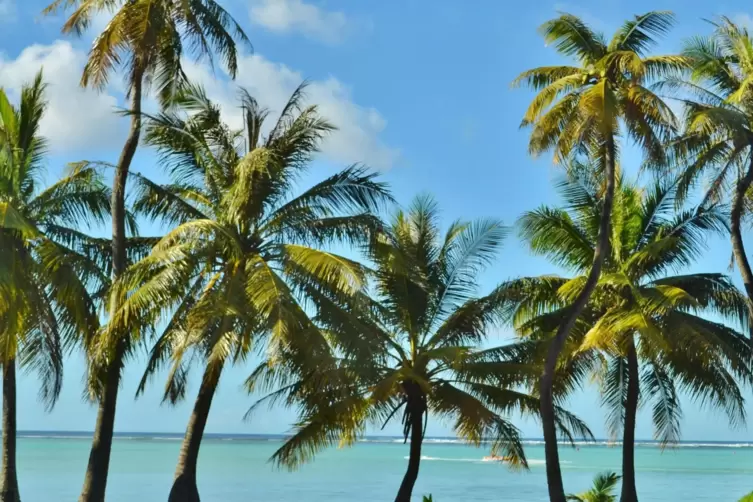 Sandstrände und die tropische Pflanzenwelt machen Guam zu einem beliebten Urlaubsziel. 
