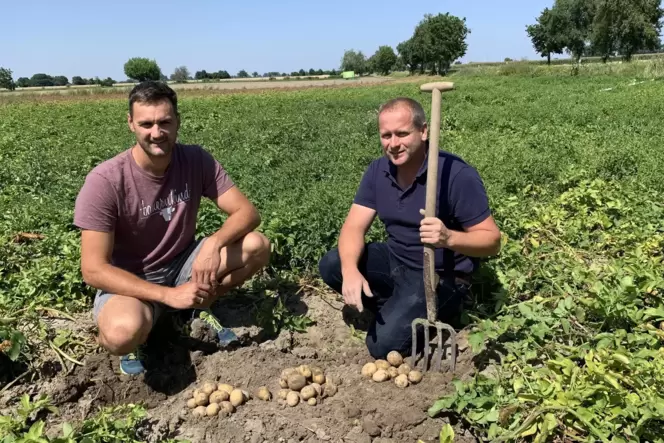 Junge Landwirte: Sebastian Fischer (39, links) stammt vom Thomashof in Speyer und ist Sprecher des Fuhr- und Ackerbauvereins Spe