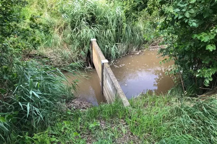 Wenn das Wasser die Schwelle &uuml;bersteigt, flie&szlig;t es in das R&uuml;ckhaltebecken ein. 