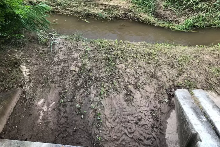 Im Bereich nach der Sperre ist zu sehen, dass der Wasserstand hier k&uuml;rzlich h&ouml;her gewesen sein muss. 