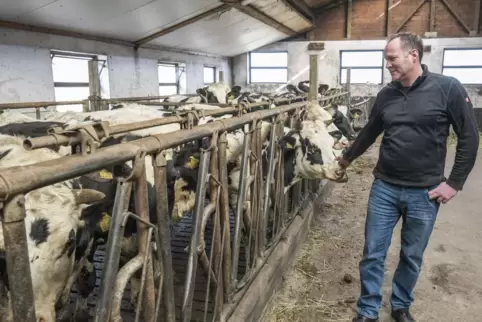Kreisbauernvorsitzender Jürgen Vogelgesang ist selbst Viehhalter. Er sieht mit dem Beschluss zu Viehtransporten vor allem auf di
