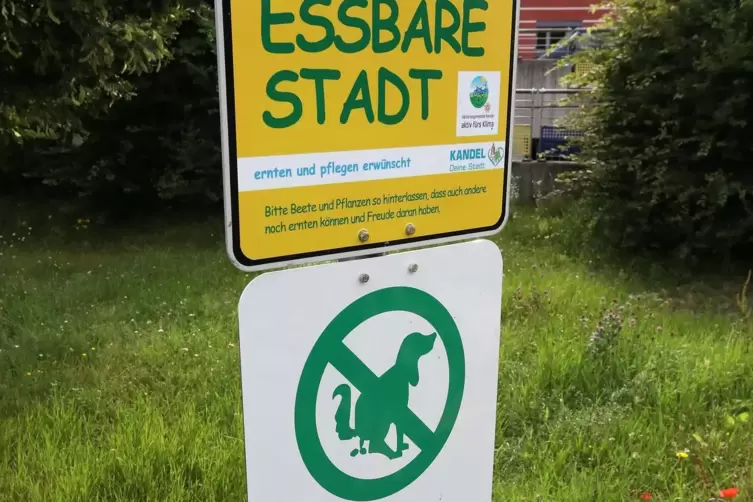 Hunde sollten von den Beeten fern gehalten werden.