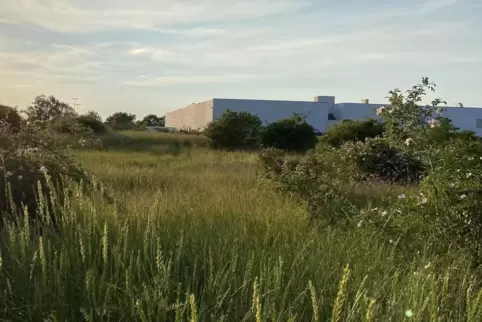 Auf dem Real-Gelände könnten Wohnungen und Geschäfte gebaut werden – wenn sich ein zweiter Investor findet.