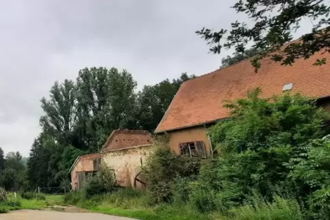 Der über 700 Jahre alte Einöderwiesenhof bei Kröppen soll wiederaufgebaut werden. 