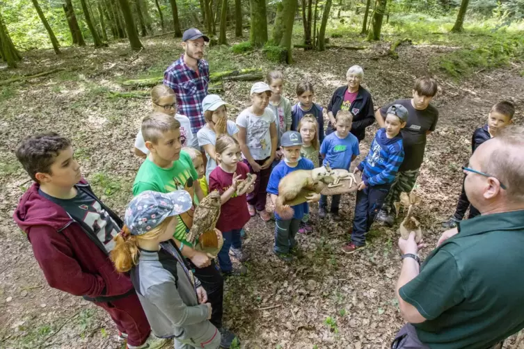 Viel Spannendes gibt es im Junior-Ranger-Camp des CVJM zu entdecken: Waldpädagoge Werner Zell vom Forstamt Otterberg zeigt den K