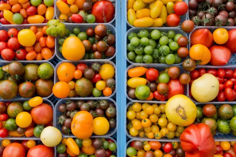 Alles Tomaten!