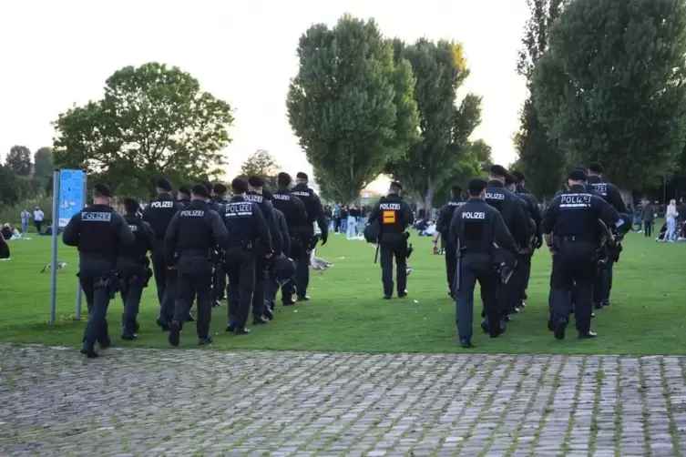 Polizei im Einsatz auf der Heidelberger Neckarwiese 