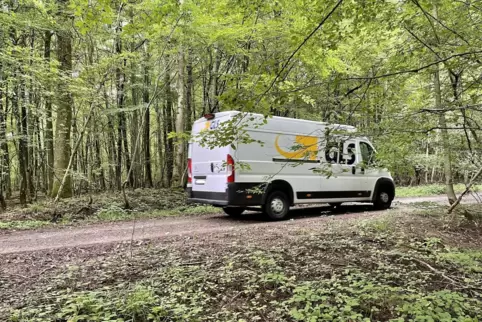 Gestern Mittag brauste ein Paketauto durch den Wald. Pakete will der Fahrer nicht abgeladen haben.