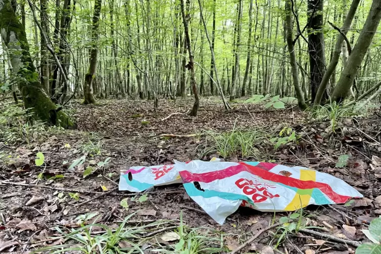 Zwei aufgerissene Bonprix-T&uuml;ten liegen am Wegesrand...