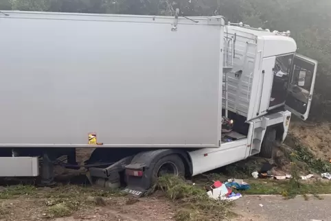 Der Fahrer wurde schwer verletzt.