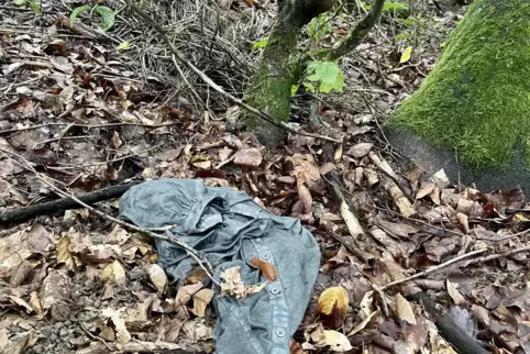 Mitten im Maßweiler Wald lag eine graue, nagelneue Bluse. 