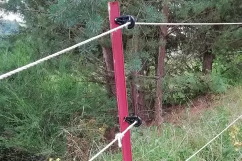 Zwischen 70 und 80 dieser Metallpfosten mit Isolierrollen wurden zuletzt gestohlen bei Waldfischbach-Burgalben. 
