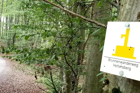 Teile des 43 Kilometer langen Brunnenwanderwegs, der Start und Ziel in Heltersberg hat, wären als zertifizierter Wanderweg der V
