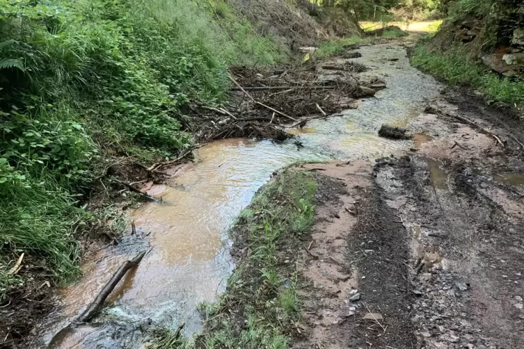 Viele Wege sind besch&auml;digt. 
