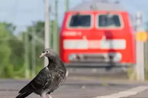Bahn Bahn