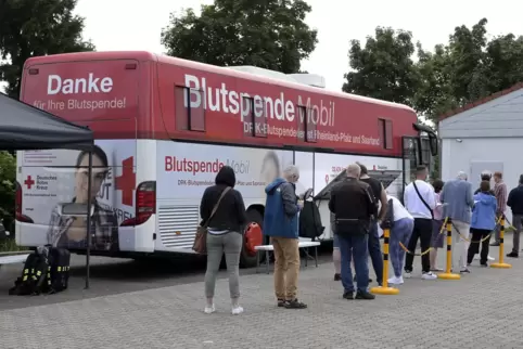 Anfang des Monats war der Bus auf einem Supermarkt-Parkplatz in Oggersheim (unser Bild).
