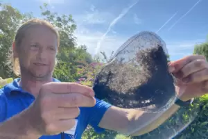 2500 bis 3000 Stechmücken verschiedenster Arten wurden in zwei Wochen in der Elektrofalle der Kabs gefangen. Arkadiusz Glowaczew