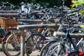 Das Fahrrad hat sich auch im Donnersbergkreis vom schlichten Drahtesel zum Trend-Mobil entwickelt mit touristischen, ökologische