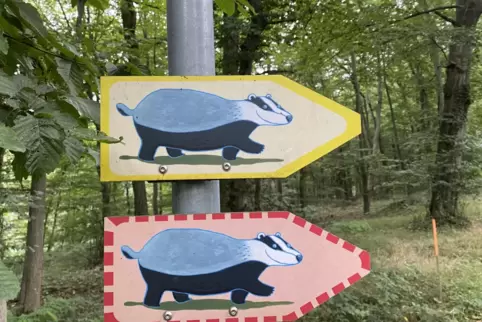 Auf dem Dachsi-Wanderweg im Göllheimer Wald können Kinder viel über den Wald lernen.