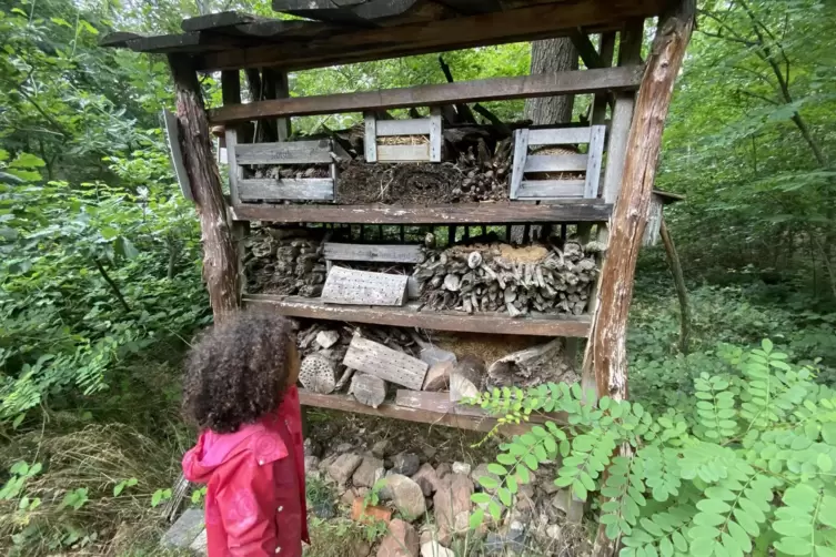 Die erste Dachsi-Station: F&uuml;r Insekten und V&ouml;gel wurde ein &bdquo;Lebensturm&ldquo; angelegt.