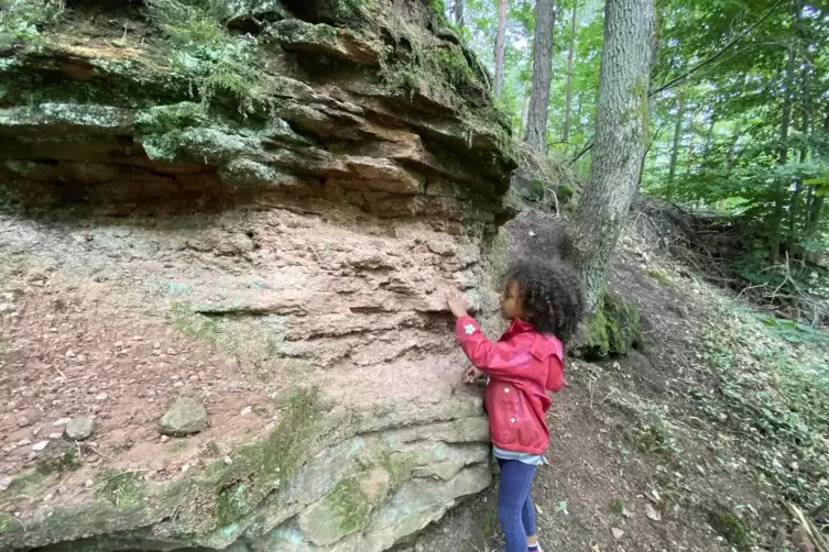 Im G&ouml;llheimer Wald war vor 255 Millionen Jahren ein Fluss, wie man am Sandstein erkennen kann. 