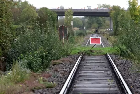 Die nur noch von Draisinen befahrene Strecke Landau - Germersheim. 