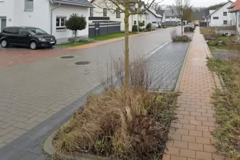 Darum geht es: Für solche Beete, wie hier in Dudenhofen, können Bürger Patenschaften übernehmen.