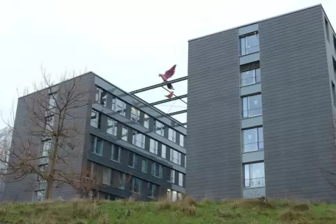Die Uni in Landau.