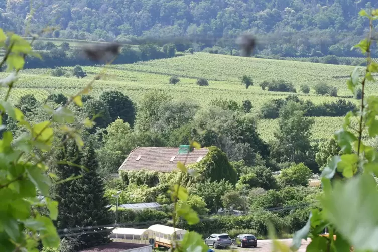 Um dieses Gel&auml;nde geht es: Hier k&ouml;nnte ein Hotel mit 120 Zimmern entstehen.