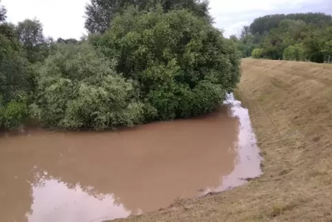 Das Großkarlbacher Rückhaltebecken, hier nach dem Unwetter im Juni. Seine Funktionstüchtigkeit steht infrage. 