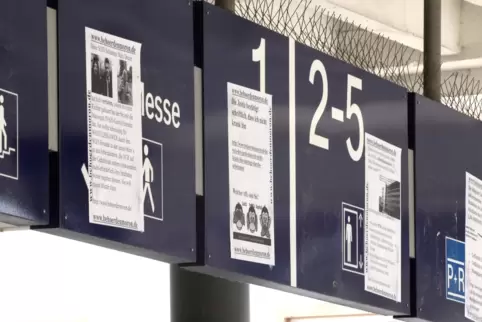 Der einschlägig vorbestrafte Landauer hatte erst vor wenigen tagen wieder Plakate im Bahnhof angebracht. 