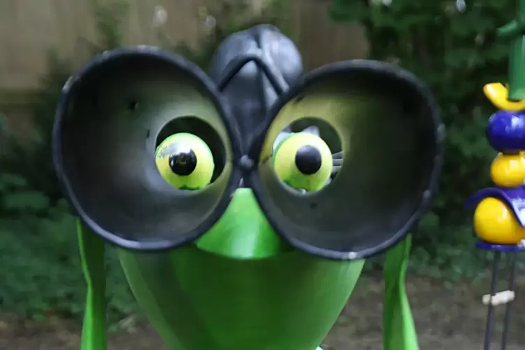 Da schauen sie.