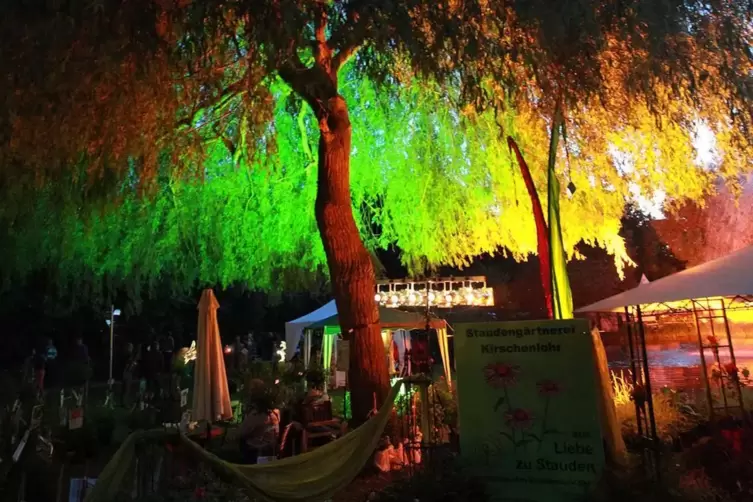 Die abendliche Musikveranstaltung im Park muss ausfallen.