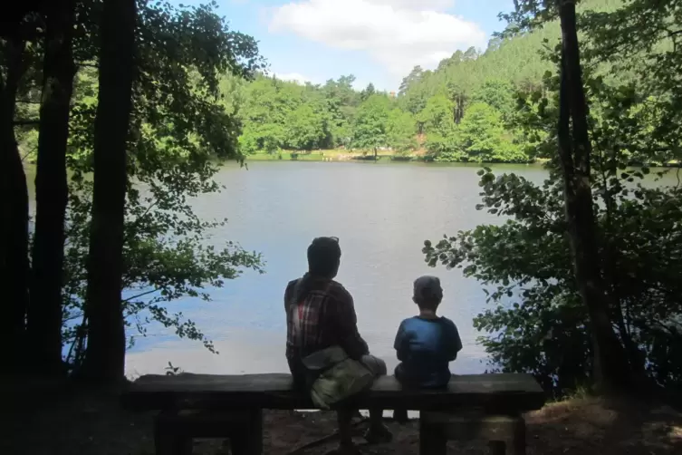 Aufpassen sollten derzeit Badegäste am Seehof: Dort gibt es gerade eine starke Algenentwicklung.