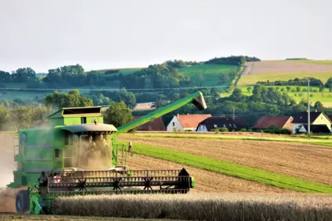 Eine staubige Angelegenheit war die Getreideernte von Steffen Sewohl am Mühlweg oberhalb von Battweiler.