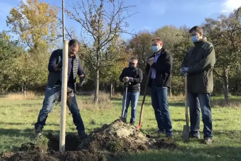 Die „Lions“ haben nicht nur die Bäume fürs Maudacher Bruch gespendet sondern sie auch selbst gesetzt. Links im Bild: Rainer Ritt