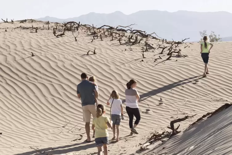 In den D&uuml;nen entdecken die Kinder gebleichte Knochen eines Hasen oder die Spur einer Klapperschlange. 