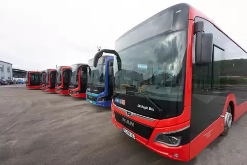 Mehrfach standen in diesem Jahr Linienbusse aufgrund von Streiks still.