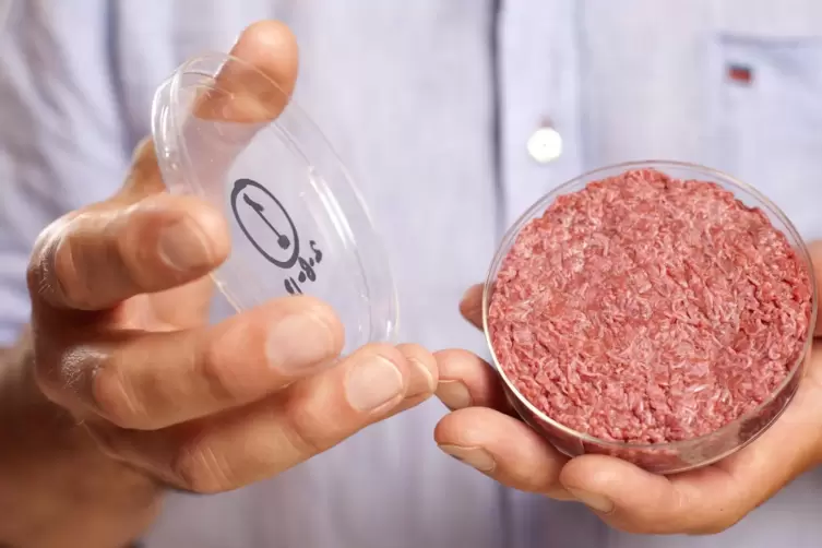 Professor Mark Post von der Universität Maastricht zeigt 2013 künstliches Fleisch aus dem Labor bei einer Produktpräsentation in