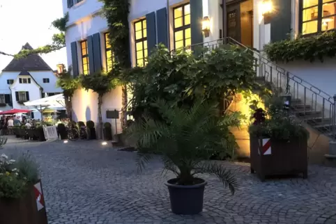 Kurzzeitig versperrte eine Palme die Durchfahrt. 