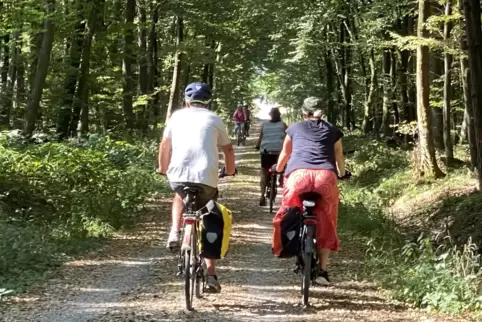 Die Erschließung von Wander- und Radwegen im Bienwald war bisher eines der wichtigsten und teuersten Leader-Projekte. 