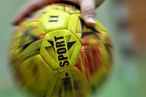 Der Nachwuchs macht den Anfang: Die Jugendlichen der HSG Eckbachtal greifen am Wochenende wieder zum Ball und spielen um die Qua