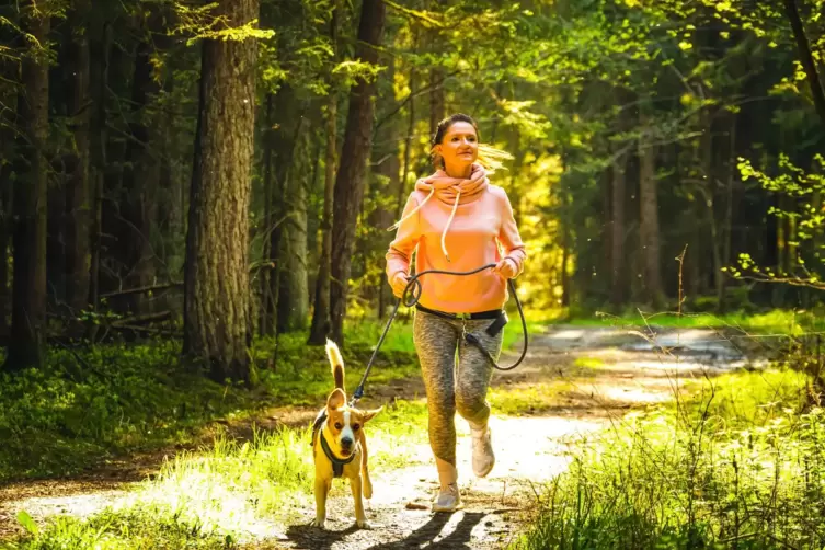 Ideale Zutaten für den perfekten Glücksmoment im Sport: Natur, schönes Wetter, leichte Bewegung – und ein Hund.
