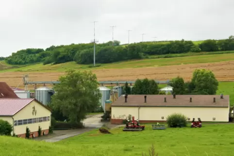 Oberhalb des Heidelbingerhofes ist noch Getreide zu ernten, wo Wind und Regen bereits deutlich nachteilige Spuren hinterlassen h
