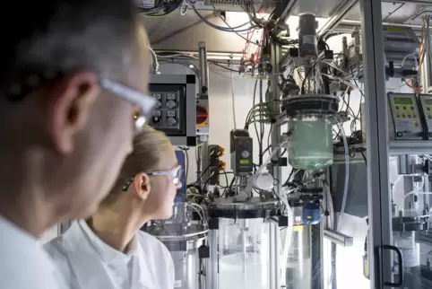 BASF-Technologiekompetenz: Der Konzern forscht weltweit an innovativen Kathodenmaterialien für hochleistungsfähige Batterien. Hi