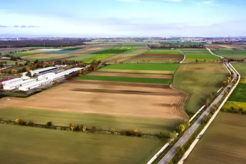 Um einen Teil dieser Äcker geht es: links die technischen Gebäude der früheren Kurpfalzkaserne, rechts die Waldseer Straße, dazw